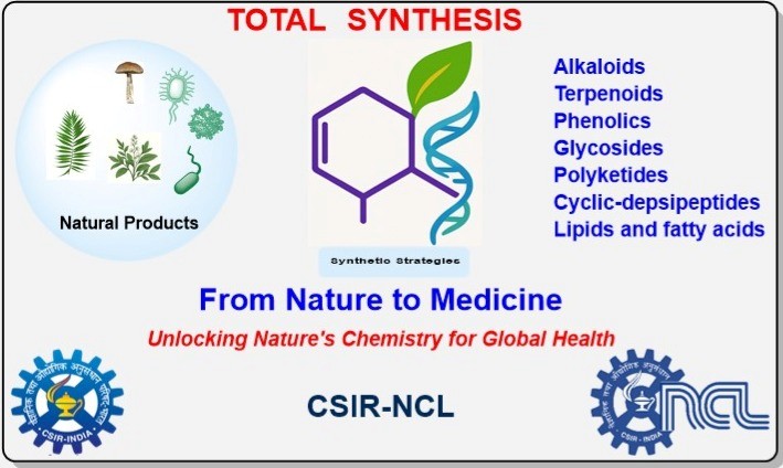 Research Overview Image