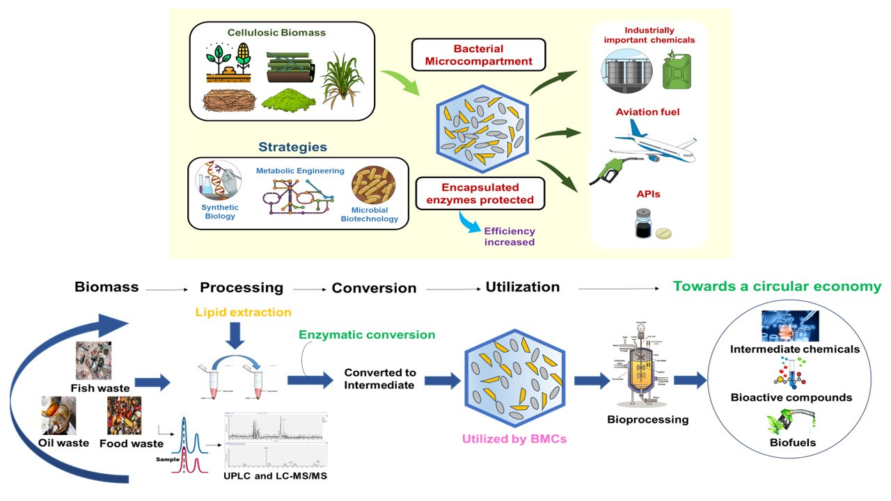 Research Overview Image