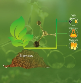 Biomass